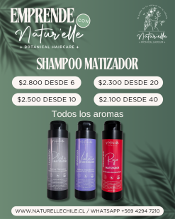 SHAM MATIZADOR PROMO