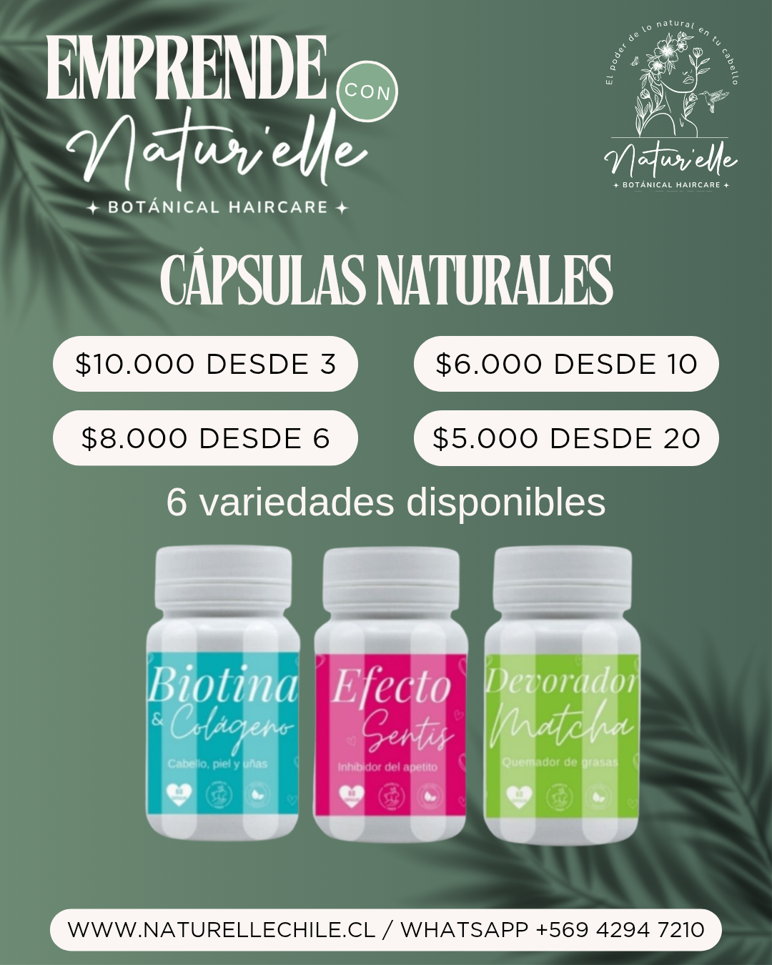 Historia de Instagram Verdades del Shampoo Sólido Moderno Verde_20250518_225123_0000
